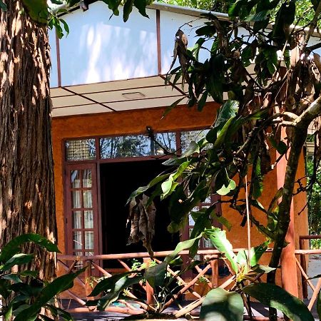 The Nirwana Cottage Ella Kültér fotó